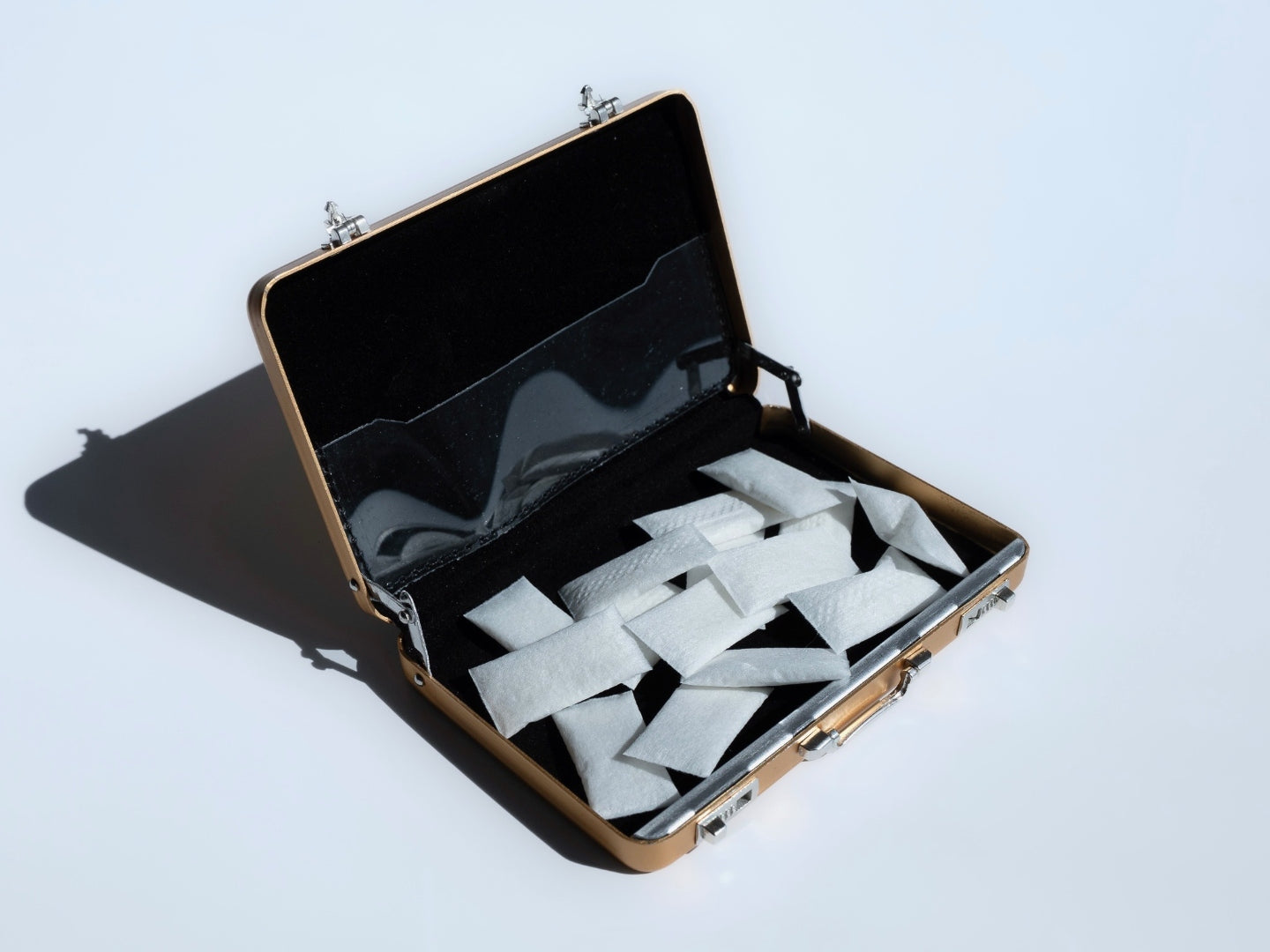 Gold briefcase open with pouches