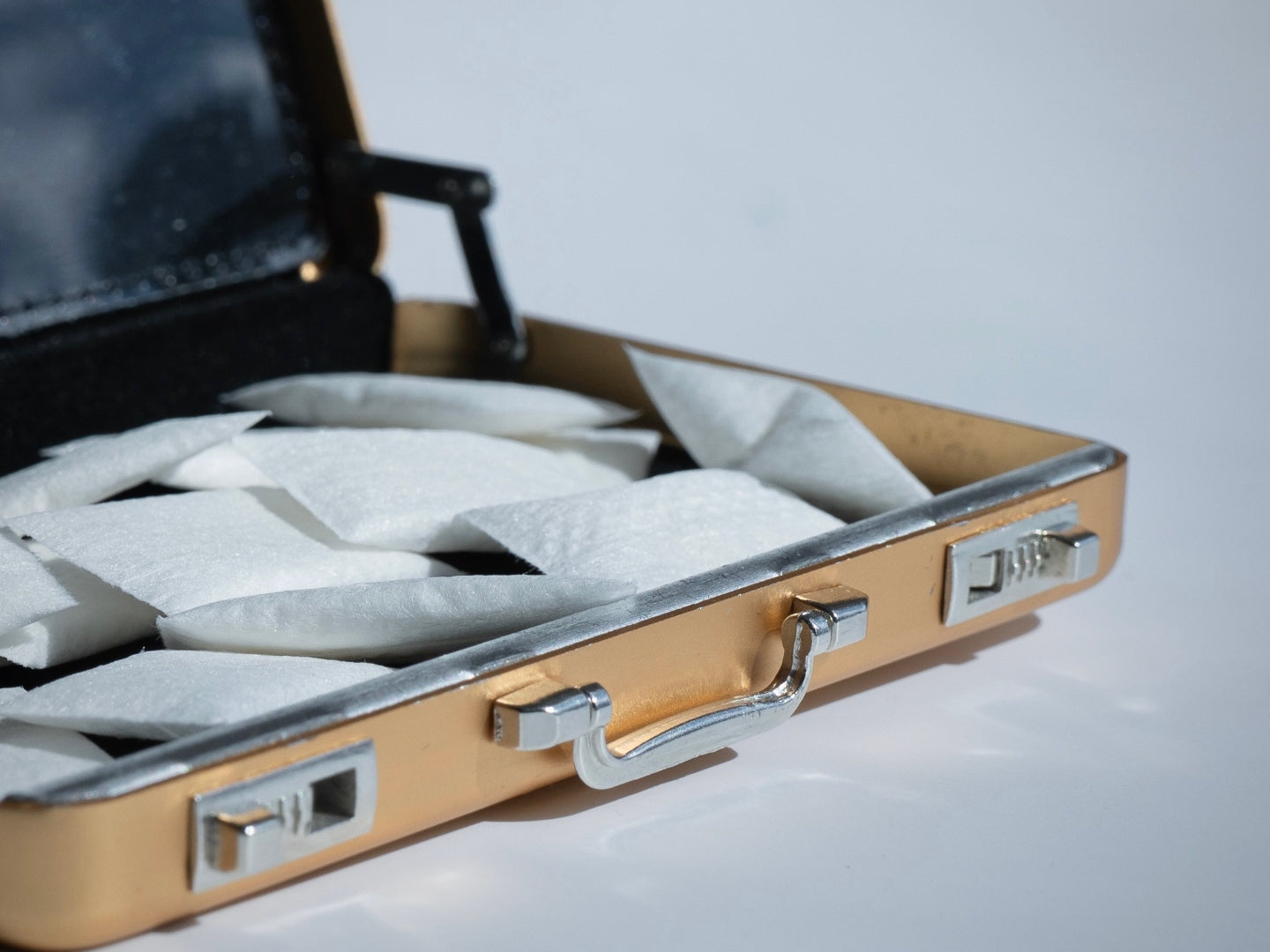 Close-up of gold Tiny Suitcase latches and handle with pouches visible inside